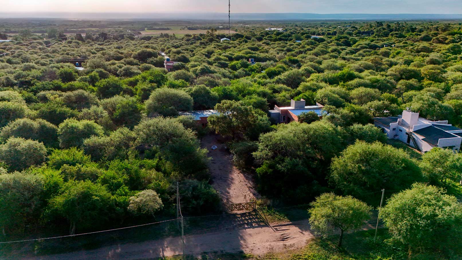 Tía Blanca